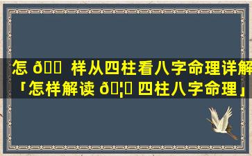 怎 🐠 样从四柱看八字命理详解「怎样解读 🦋 四柱八字命理」